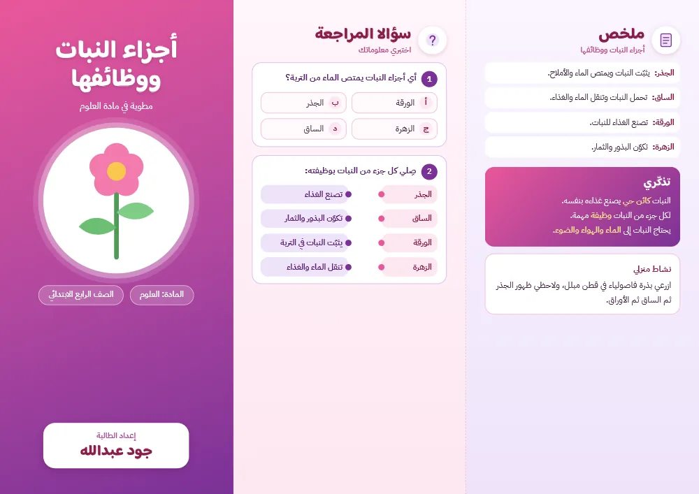 مطوية «أجزاء النبات ووظائفها» كما وصلت
